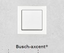 abb_23_busch_axcent.jpg