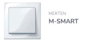 sch_23_mtm_m-smart.jpg